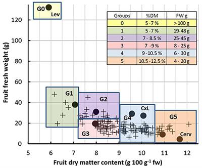 Model-Assisted Estimation of the Genetic Variability in Physiological Parameters Related to Tomato Fruit Growth under Contrasted Water Conditions